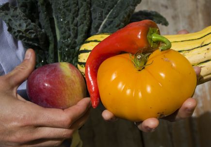 Community Partnership Program