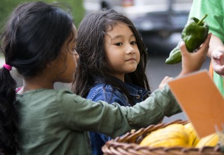 Community Partnership Program