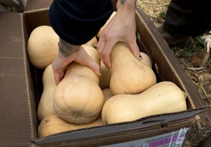 Community Partnership Program