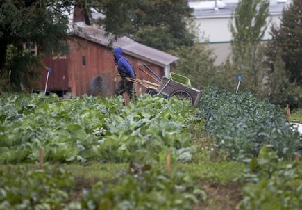 Community Partnership Program