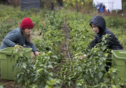 Community Partnership Program