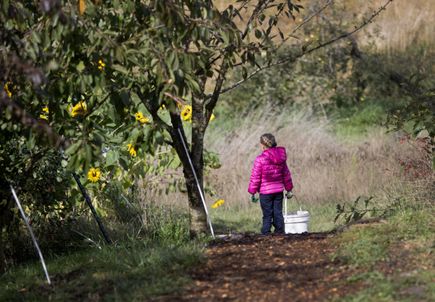 Community Partnership Program