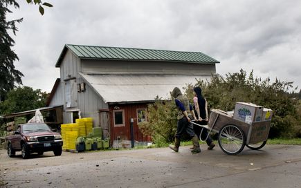 Community Partnership Program