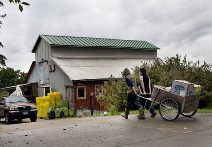 Community Partnership Program