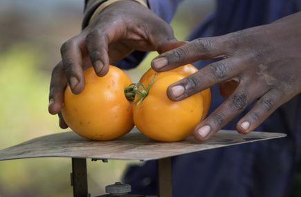 Community Partnership Program