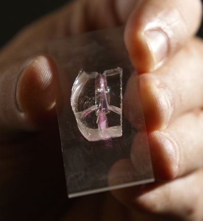 New research on root canal treatment