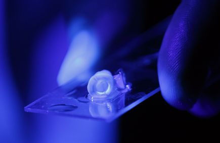 New research on root canal treatment