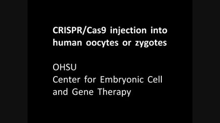 VIDEO: Download germline editing video