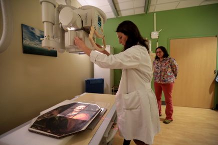 17th century painting X-ray