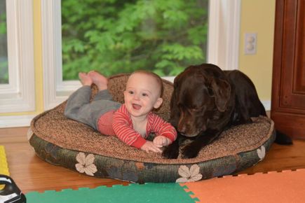 Hydrocephalus: Baby Jake