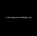 VIDEO: Download video footage from the Mitalipov Lab