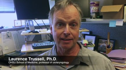 Download video: Tinnitus research