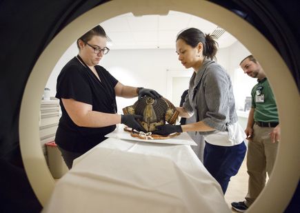 Portland Art Museum Japanese armor
