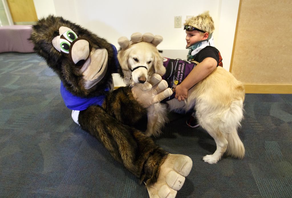 Mascots for a Cure