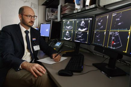 Stephen Heitner, M.D.