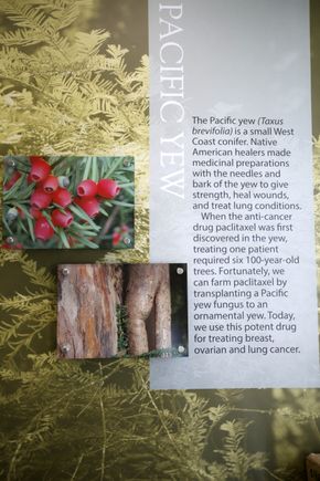 Knight Cancer Collaborative