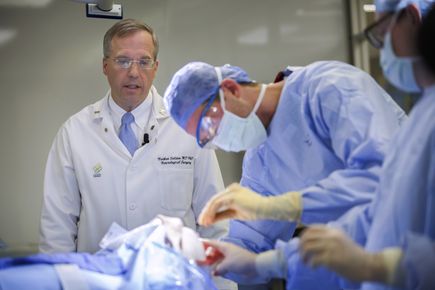 Brain surgery simulator