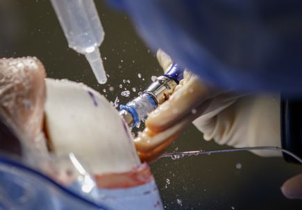 Brain surgery simulator