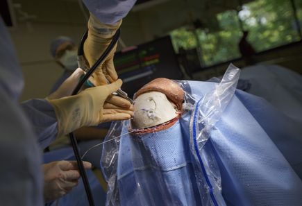 Brain surgery simulator