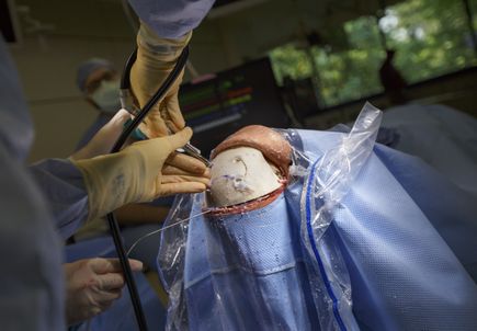 Brain surgery simulator