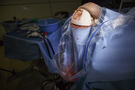 Brain surgery simulator