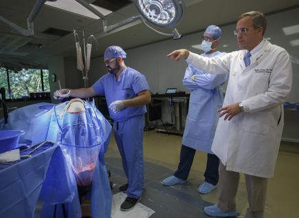 Brain surgery simulator