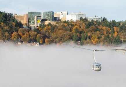 Marquam Hill Fog