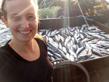 Thelazia gulosa - cattle eyeworm