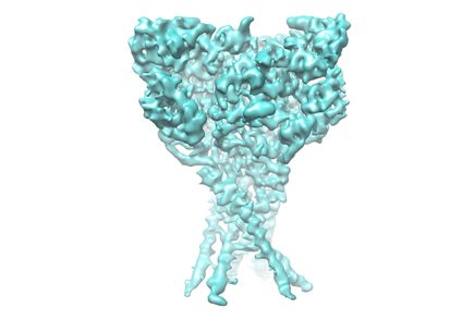 Ion channel