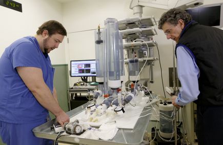 Total artificial heart prototype