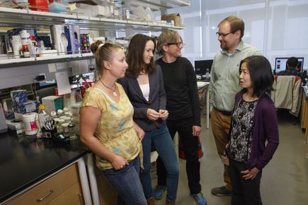 Tumor microenvironment