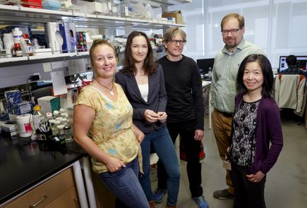 Tumor microenvironment