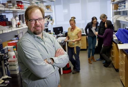 Tumor microenvironment