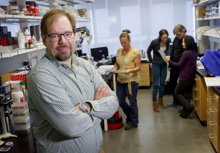 Tumor microenvironment