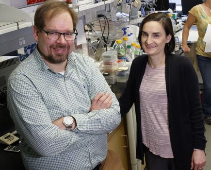 Tumor microenvironment