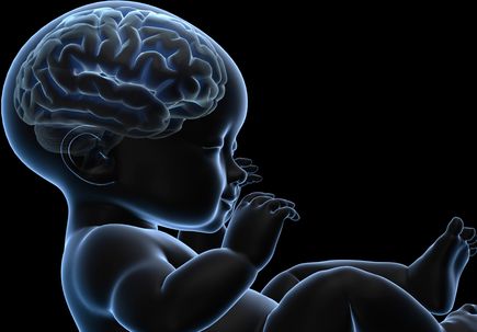 Baby brain development