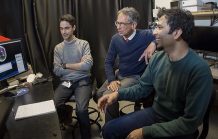 Studying white matter injury