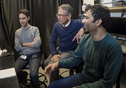 Studying white matter injury