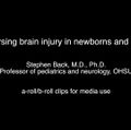 DOWNLOAD: Media clips for white matter injury research