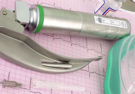 Tamara Hargens-Bradley