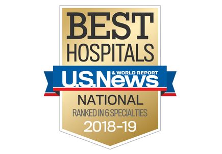 US World & News Report 6 specialty badge