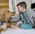 OHSU Doernbecher Children's Hospital therapy dogs 