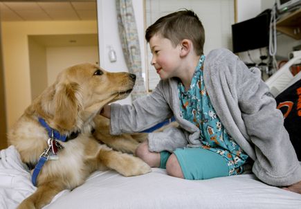 OHSU Doernbecher Children's Hospital therapy dogs 