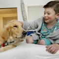OHSU Doernbecher Children's Hospital therapy dogs 