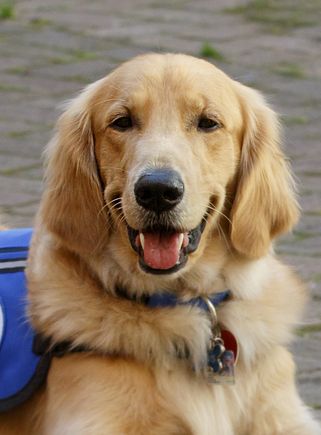 Davis headshot (2018)