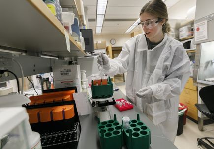 Malaria vaccine research