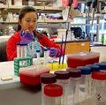 Careers in cancer: Apply now