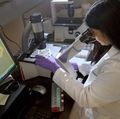 AML Research