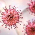 Dangerous bone marrow, organ transplant complication explained