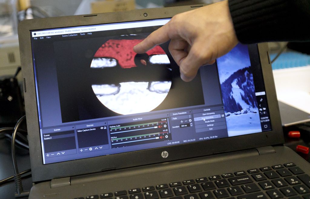 Tooth-on-a-chip |OHSU News